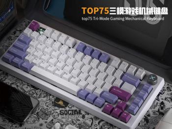 达摩鲨 香芋紫薯 无线三模 机械键盘 香芋紫薯 银鲨轴 RGB 机械键盘 现仅需379元