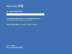 BitLocker加密功能别轻易开启